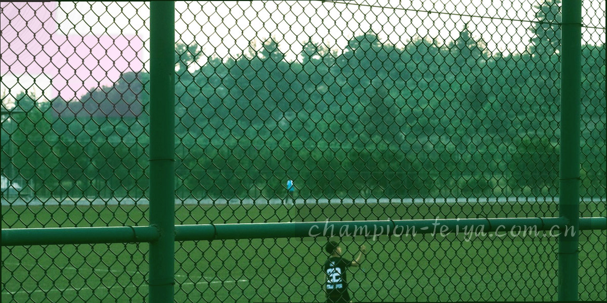 大型体育赛事场内灯光与观众席场景